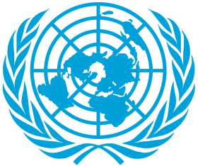Official Emblem & Global Peacekeeping Seal